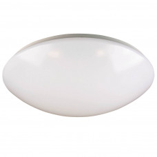 LED PLAFOND/WAND 12 W/ 810 LUMEN Ø 24CM WARM WIT