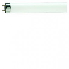 PHILIPS L LAMP 8W/05 ACTINIC 29CM
